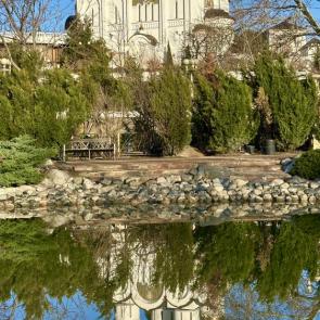 ����: �����