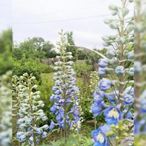 ����: � ���� � ����... 