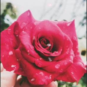 ����� �������� � ������� �����