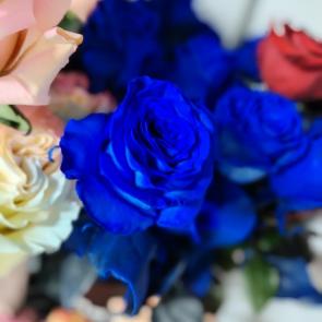 ����: ����. 