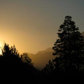 ����: �������