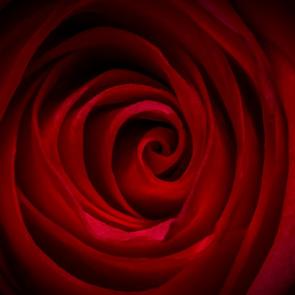 ����: ����