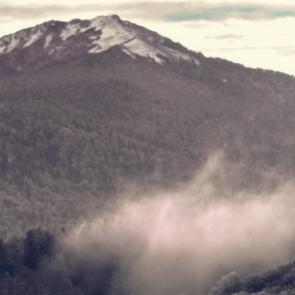 ����: ������� � ������ ��� ������� �����������