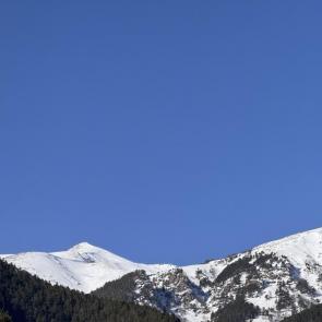 ����: ������