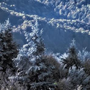 ����: ��� ���� � ����� ���� 5