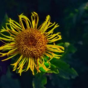 ����: Ƹ���� ������ �������� 4