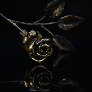 ���� ��������: ������ ����