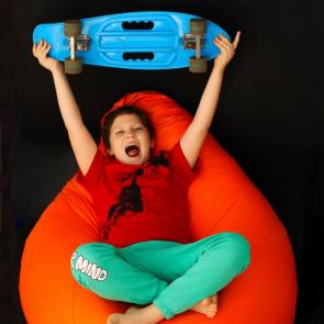 ����: �������