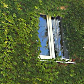 ����: ���� � ����