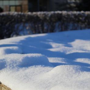 ����: ����