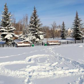 ����: �������