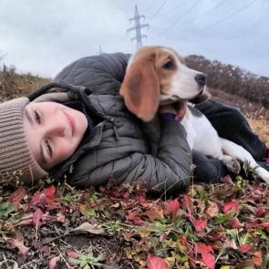 ����: �������������