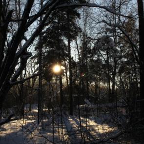 ������� ����� � ����