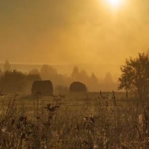 ����: ��������� ���� ����