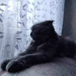 ����: ������ 