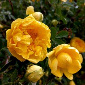 ����: �������� ������