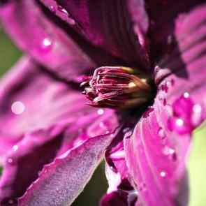 ���� ��������: ����� �����