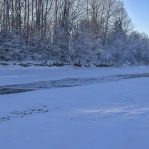 ����: ������ ����