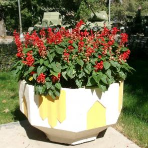 ����: ����� � ����� ������� �������