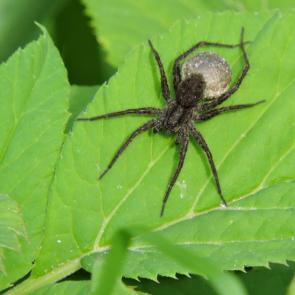 ����: ���� ����