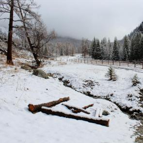 ���� ��������: 