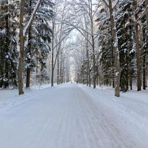 ����: ���� � ����� ���������