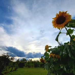 ����: ������������� �����