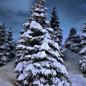 ���������� ��������� ���������