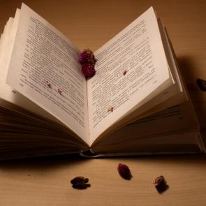 � ����� ���������������