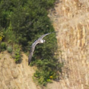 ����: � ����� ���������