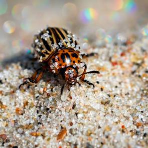 ����: ��� �� �����