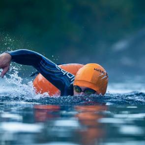 ����: ������