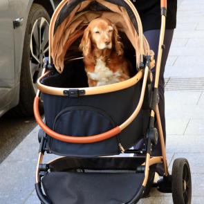 ����: ��������� ���