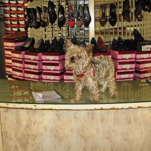 ����: ������� ��� ���������� ������ ����������