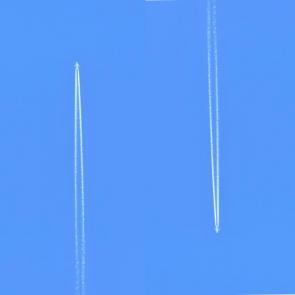 ����: �����