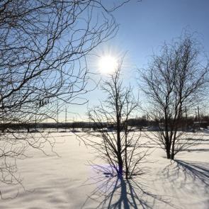 ����: �������