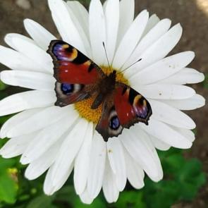 ����: ����� �������, � � ��� ��� ����