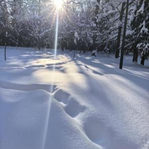 ����: ����� � ������