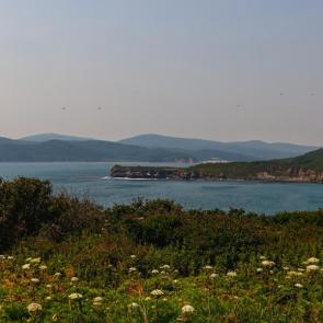 ���� ��������: ������ ���� �� ��������� 