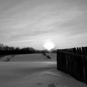 ����: ������ ����