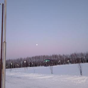 ����: ������� ����