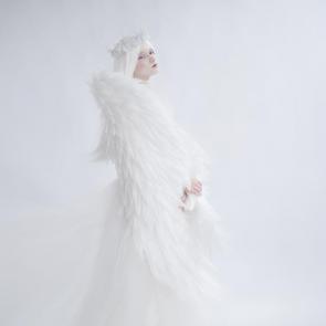 ����: ������� ������