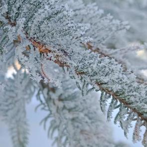 ����: ������ ������ �����