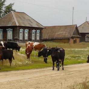 ����: ���� � �������