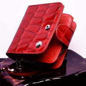 ����: ������ �������