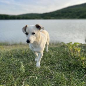 ����: ������ �����