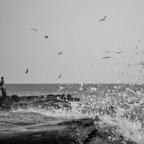 ����: ���� � �������