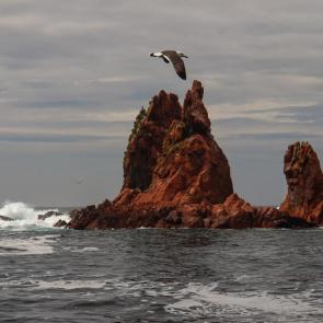 ����: ������� ������