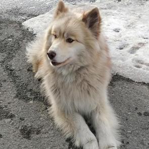 ����: ���������� ����������