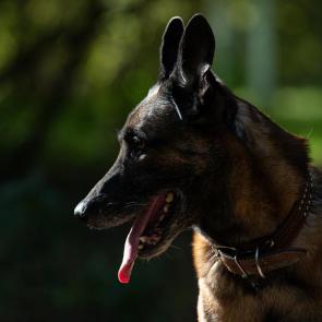 ����: �������� ���������